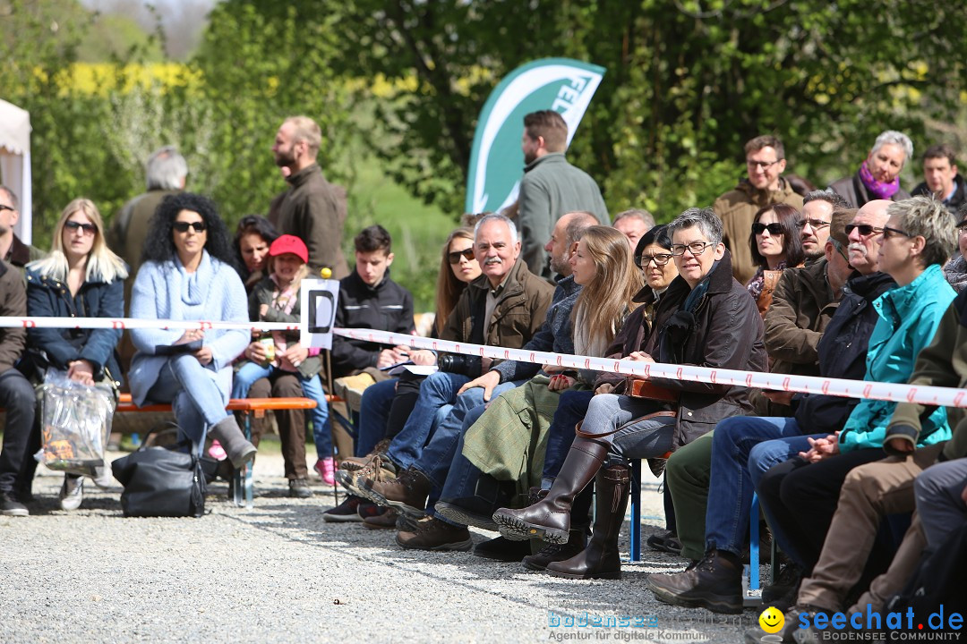 Jagdhundetag Dornsberg der Landesjagdschule: Eigeltingen, 23.04.2017