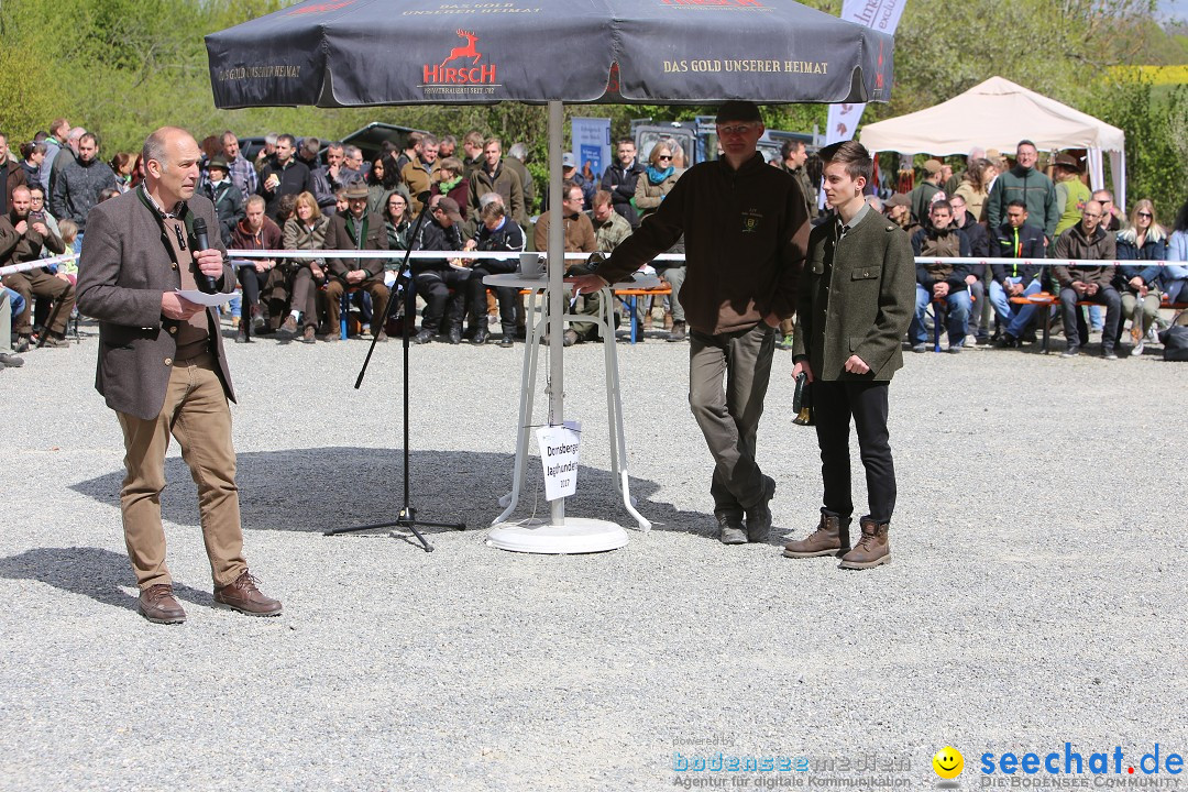 Jagdhundetag Dornsberg der Landesjagdschule: Eigeltingen, 23.04.2017