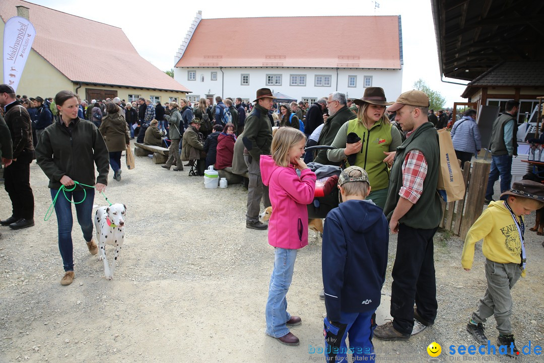 Jagdhundetag Dornsberg der Landesjagdschule: Eigeltingen, 23.04.2017