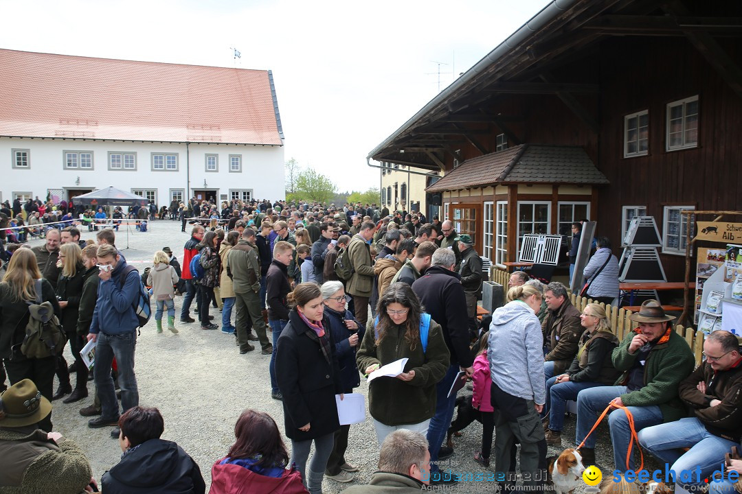 Jagdhundetag Dornsberg der Landesjagdschule: Eigeltingen, 23.04.2017