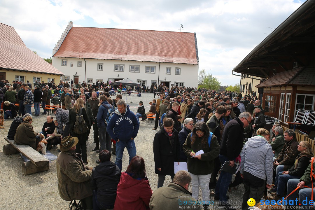 Jagdhundetag Dornsberg der Landesjagdschule: Eigeltingen, 23.04.2017