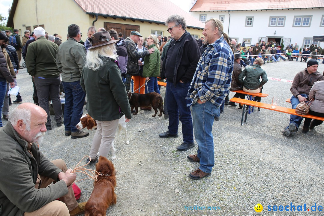 Jagdhundetag Dornsberg der Landesjagdschule: Eigeltingen, 23.04.2017