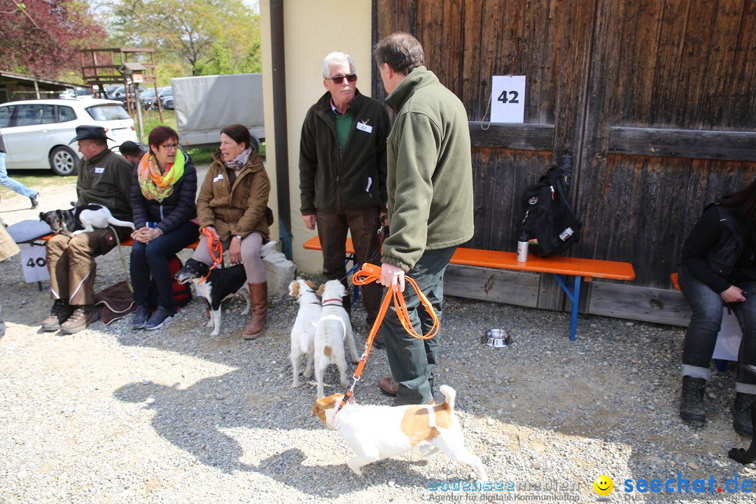 Jagdhundetag Dornsberg der Landesjagdschule: Eigeltingen, 23.04.2017