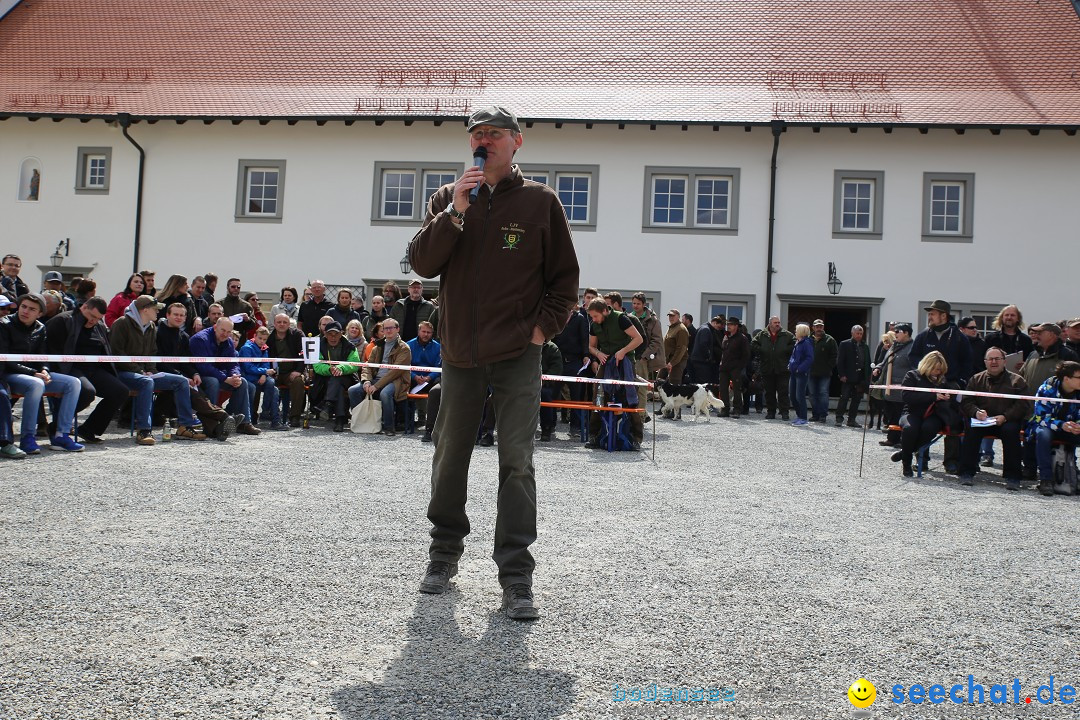 Jagdhundetag Dornsberg der Landesjagdschule: Eigeltingen, 23.04.2017