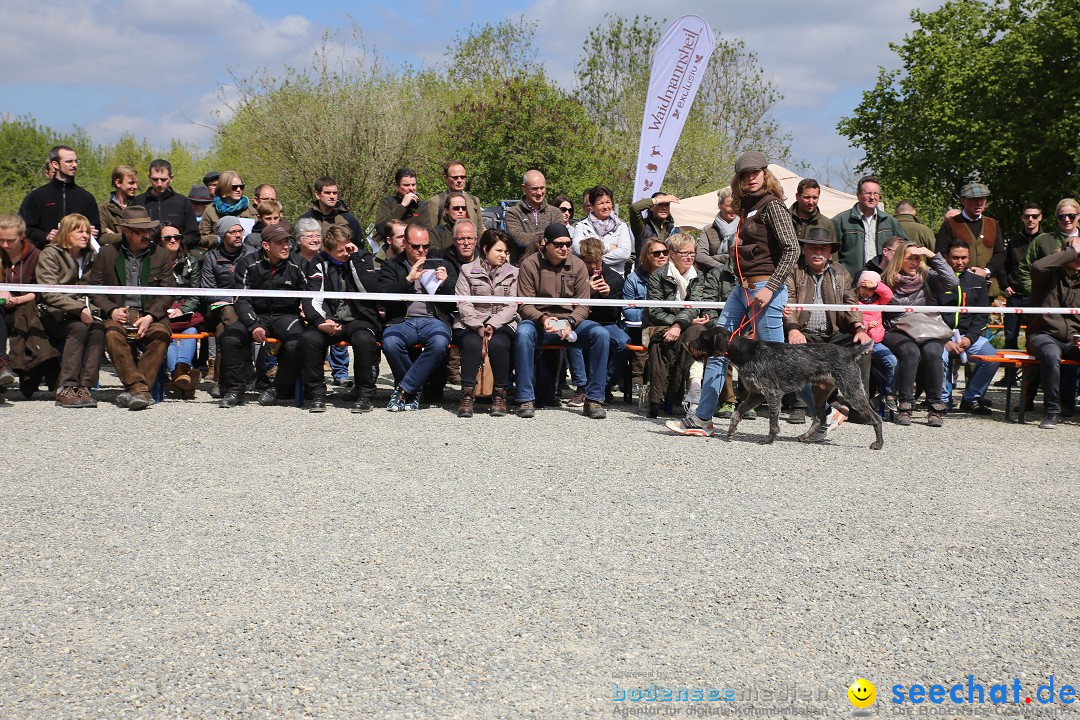 Jagdhundetag Dornsberg der Landesjagdschule: Eigeltingen, 23.04.2017