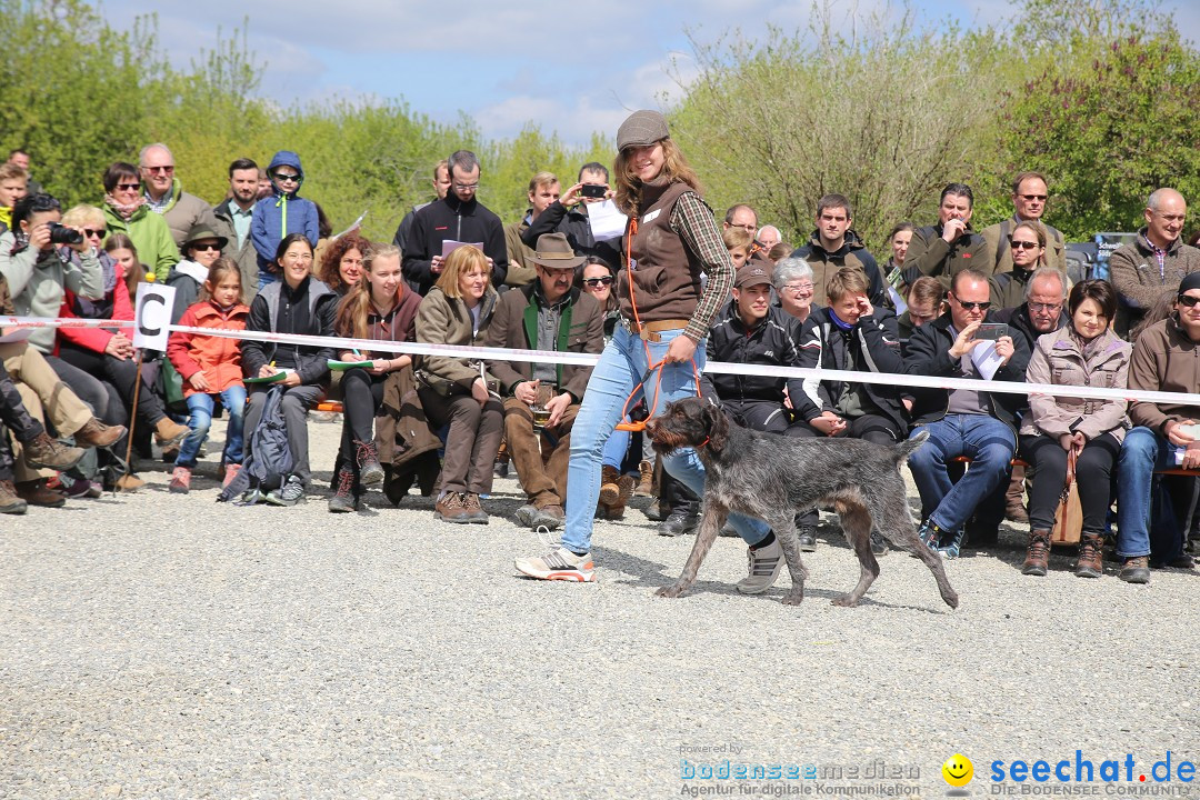 Jagdhundetag Dornsberg der Landesjagdschule: Eigeltingen, 23.04.2017