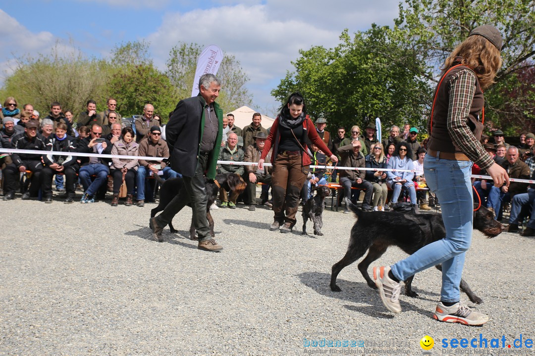 Jagdhundetag Dornsberg der Landesjagdschule: Eigeltingen, 23.04.2017