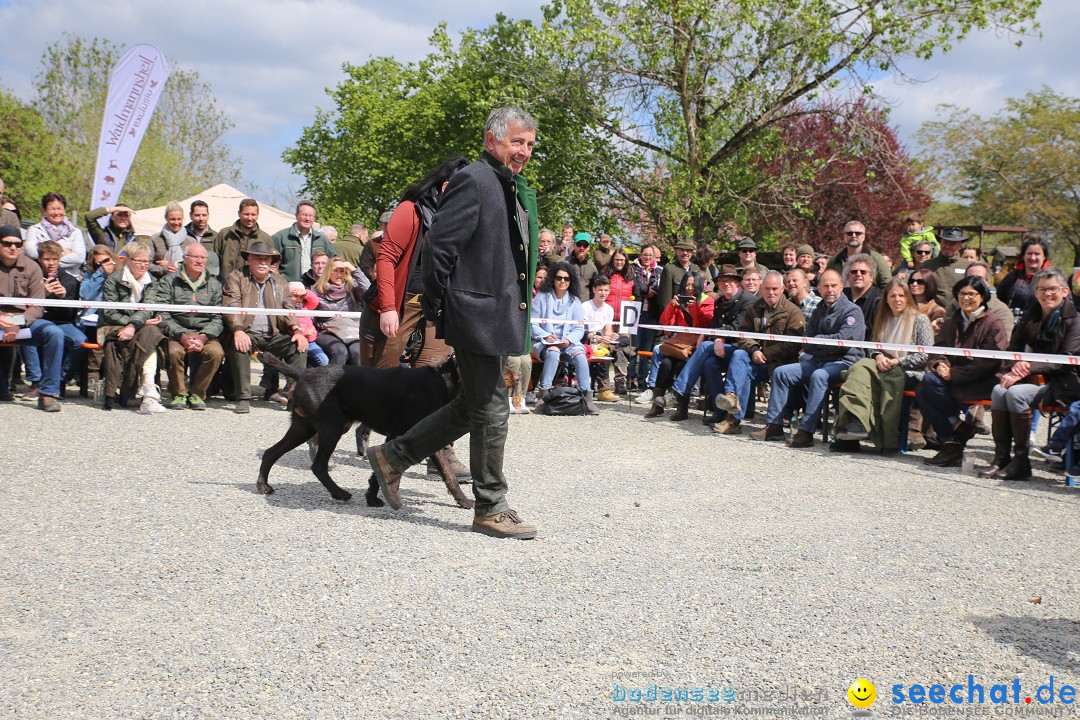 Jagdhundetag Dornsberg der Landesjagdschule: Eigeltingen, 23.04.2017