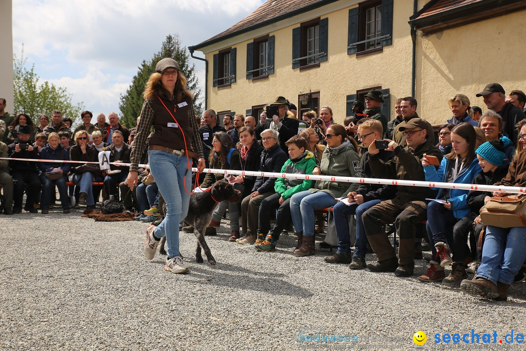 Jagdhundetag Dornsberg der Landesjagdschule: Eigeltingen, 23.04.2017