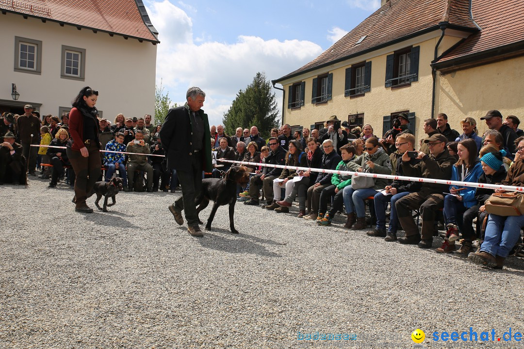 Jagdhundetag Dornsberg der Landesjagdschule: Eigeltingen, 23.04.2017