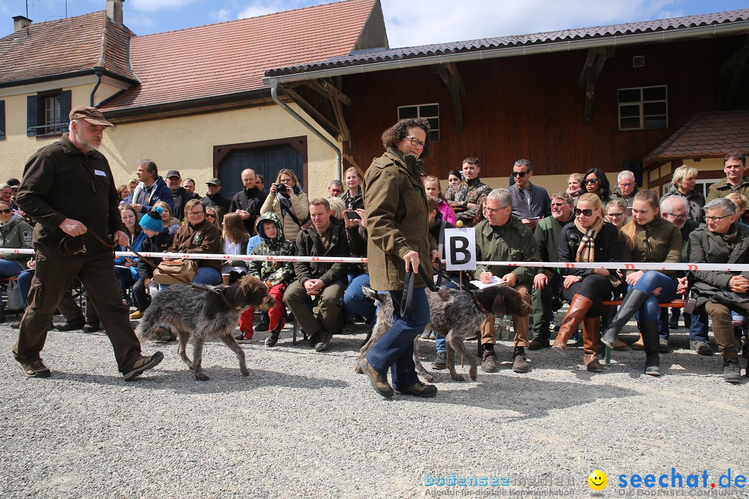 Jagdhundetag Dornsberg der Landesjagdschule: Eigeltingen, 23.04.2017