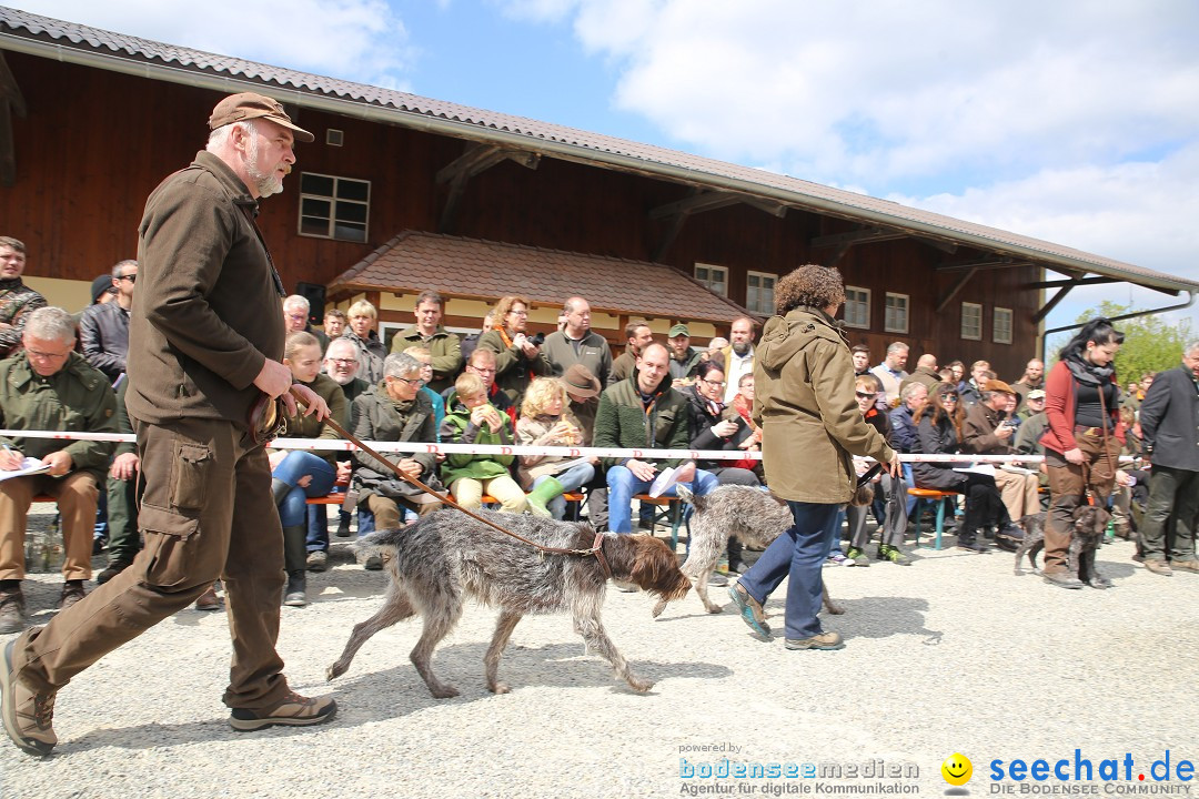 Jagdhundetag Dornsberg der Landesjagdschule: Eigeltingen, 23.04.2017