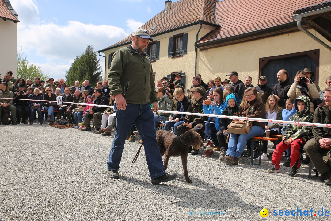 Jagdhundetag Dornsberg der Landesjagdschule: Eigeltingen, 23.04.2017