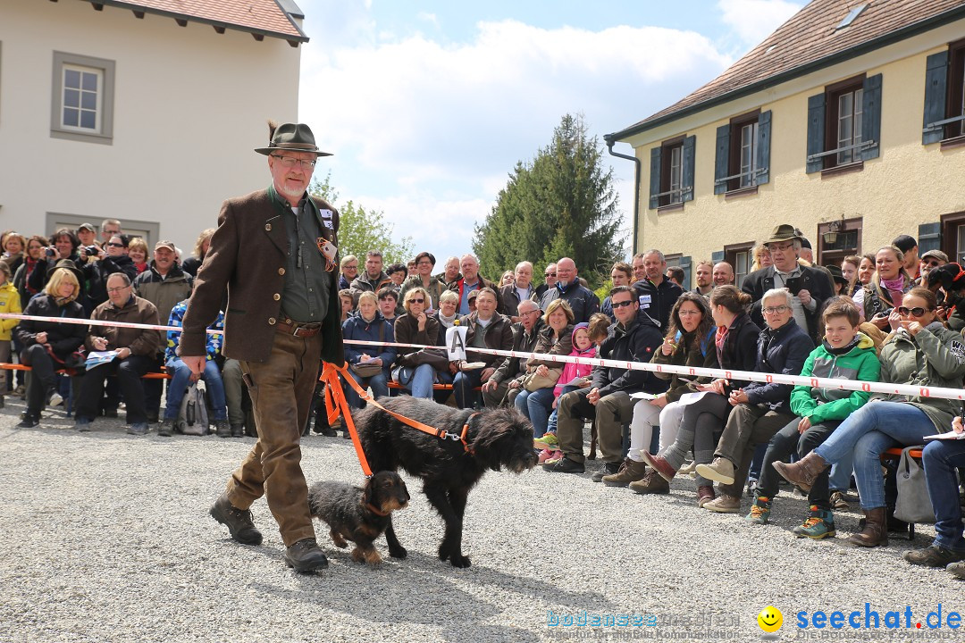 Jagdhundetag Dornsberg der Landesjagdschule: Eigeltingen, 23.04.2017