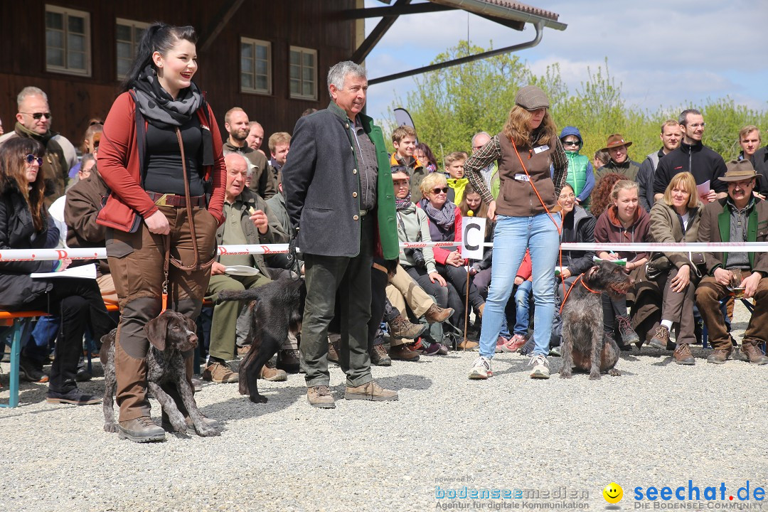 Jagdhundetag Dornsberg der Landesjagdschule: Eigeltingen, 23.04.2017