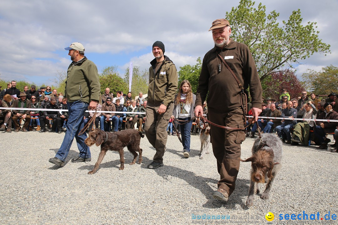 Jagdhundetag Dornsberg der Landesjagdschule: Eigeltingen, 23.04.2017