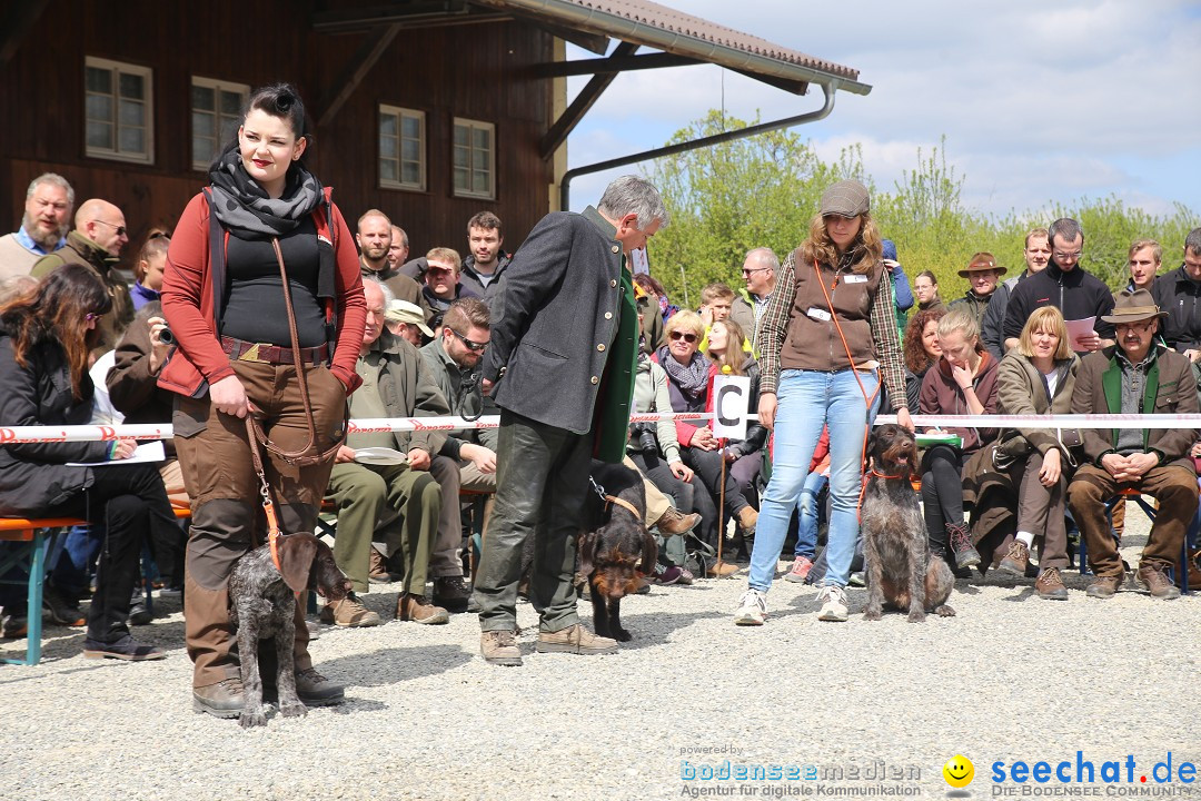 Jagdhundetag Dornsberg der Landesjagdschule: Eigeltingen, 23.04.2017