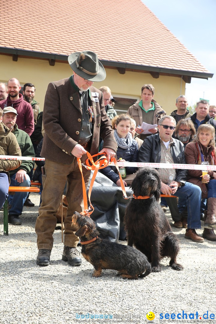 Jagdhundetag Dornsberg der Landesjagdschule: Eigeltingen, 23.04.2017