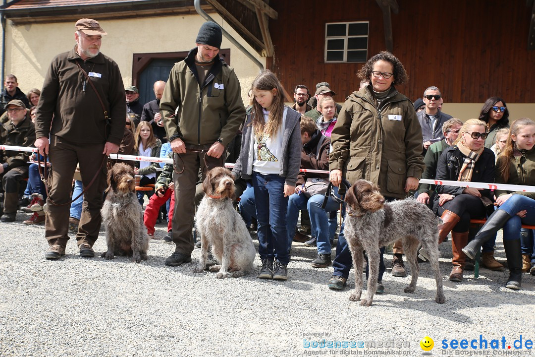 Jagdhundetag Dornsberg der Landesjagdschule: Eigeltingen, 23.04.2017