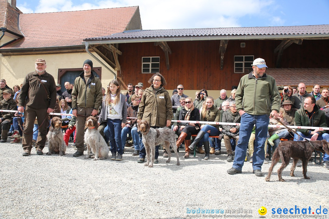 Jagdhundetag Dornsberg der Landesjagdschule: Eigeltingen, 23.04.2017