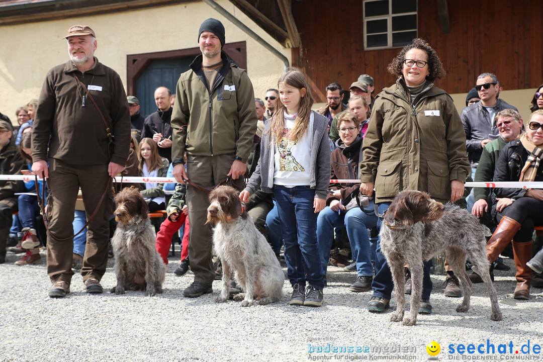 Jagdhundetag Dornsberg der Landesjagdschule: Eigeltingen, 23.04.2017