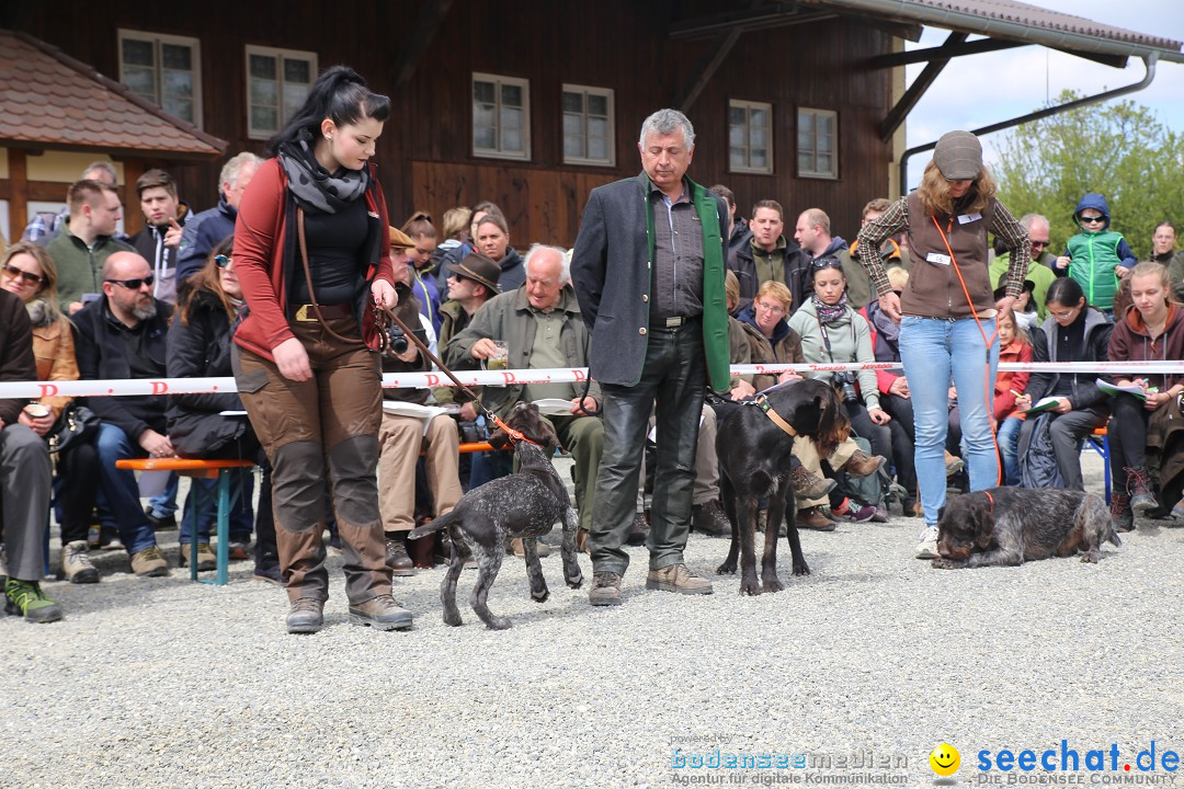 Jagdhundetag Dornsberg der Landesjagdschule: Eigeltingen, 23.04.2017