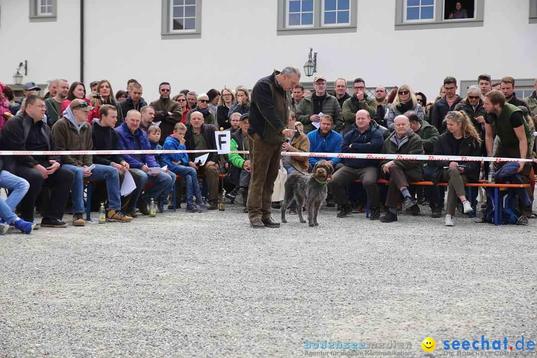 Jagdhundetag Dornsberg der Landesjagdschule: Eigeltingen, 23.04.2017