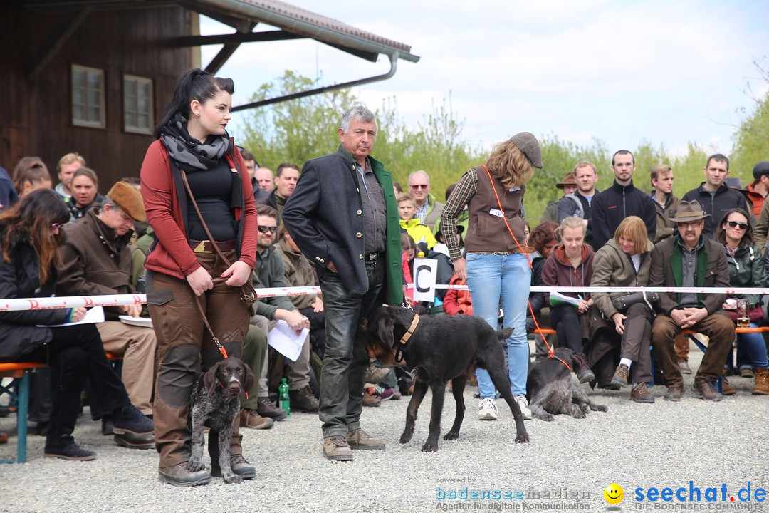 Jagdhundetag Dornsberg der Landesjagdschule: Eigeltingen, 23.04.2017