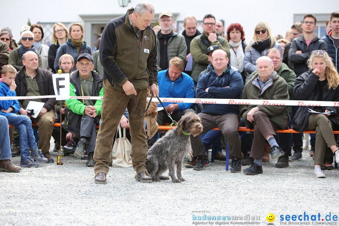 Jagdhundetag Dornsberg der Landesjagdschule: Eigeltingen, 23.04.2017