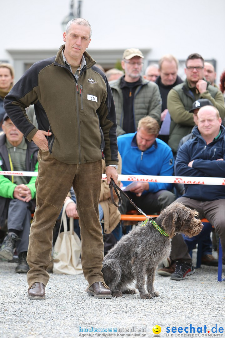 Jagdhundetag Dornsberg der Landesjagdschule: Eigeltingen, 23.04.2017