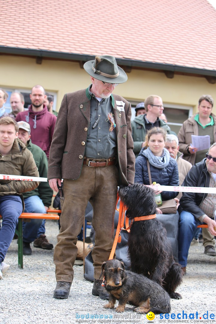 Jagdhundetag Dornsberg der Landesjagdschule: Eigeltingen, 23.04.2017