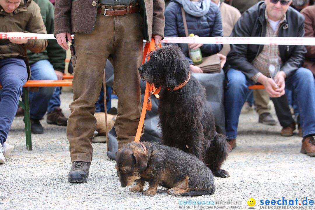 Jagdhundetag Dornsberg der Landesjagdschule: Eigeltingen, 23.04.2017