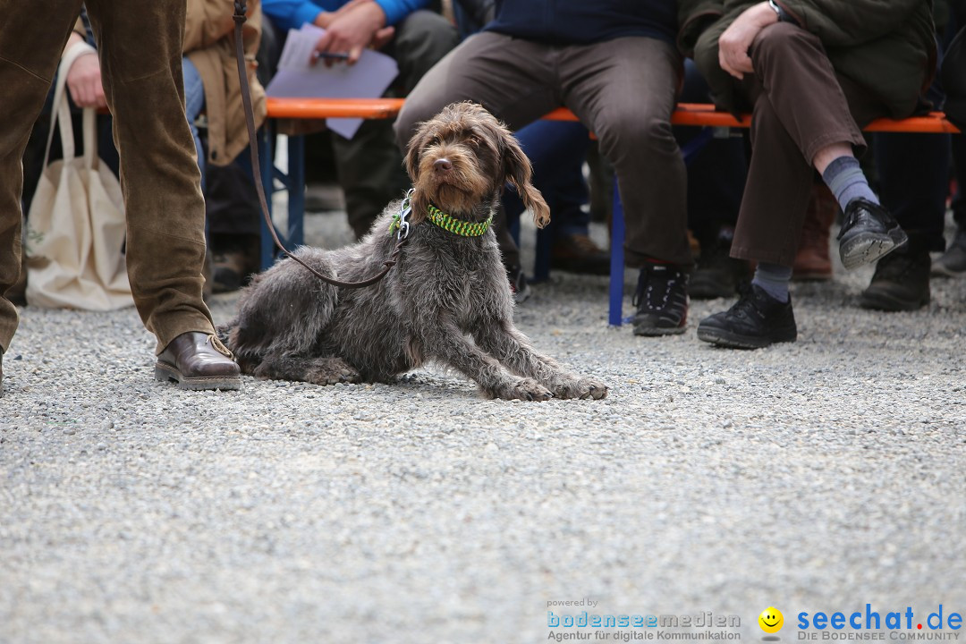 Jagdhundetag Dornsberg der Landesjagdschule: Eigeltingen, 23.04.2017