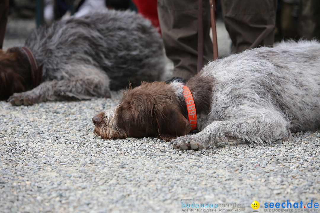 Jagdhundetag Dornsberg der Landesjagdschule: Eigeltingen, 23.04.2017