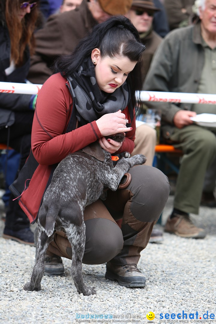 Jagdhundetag Dornsberg der Landesjagdschule: Eigeltingen, 23.04.2017