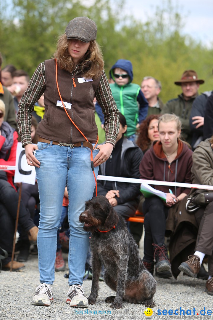 Jagdhundetag Dornsberg der Landesjagdschule: Eigeltingen, 23.04.2017