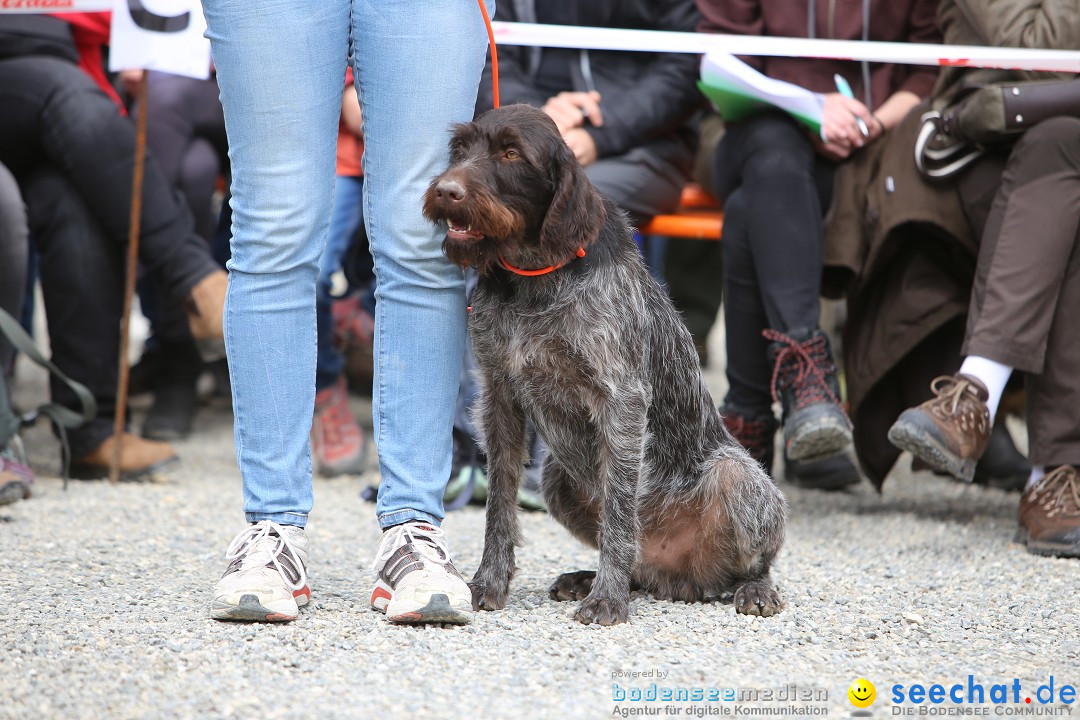 Jagdhundetag Dornsberg der Landesjagdschule: Eigeltingen, 23.04.2017