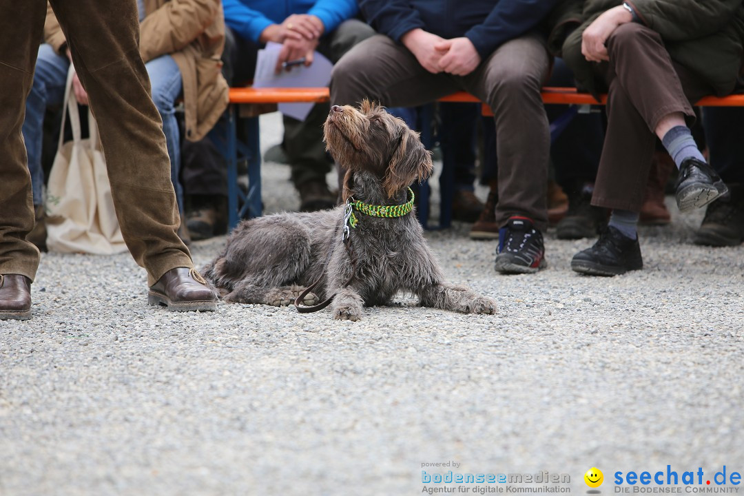 Jagdhundetag Dornsberg der Landesjagdschule: Eigeltingen, 23.04.2017