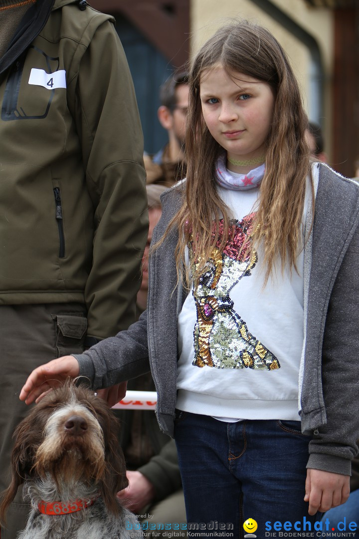 Jagdhundetag Dornsberg der Landesjagdschule: Eigeltingen, 23.04.2017