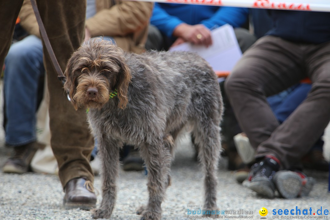 Jagdhundetag Dornsberg der Landesjagdschule: Eigeltingen, 23.04.2017