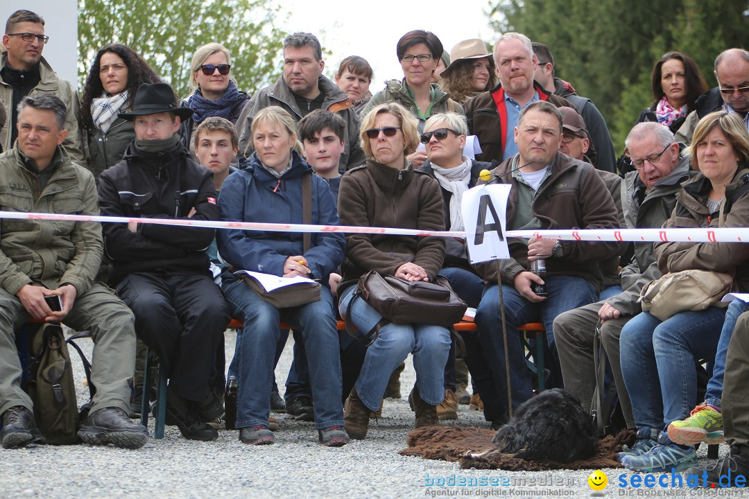 Jagdhundetag Dornsberg der Landesjagdschule: Eigeltingen, 23.04.2017