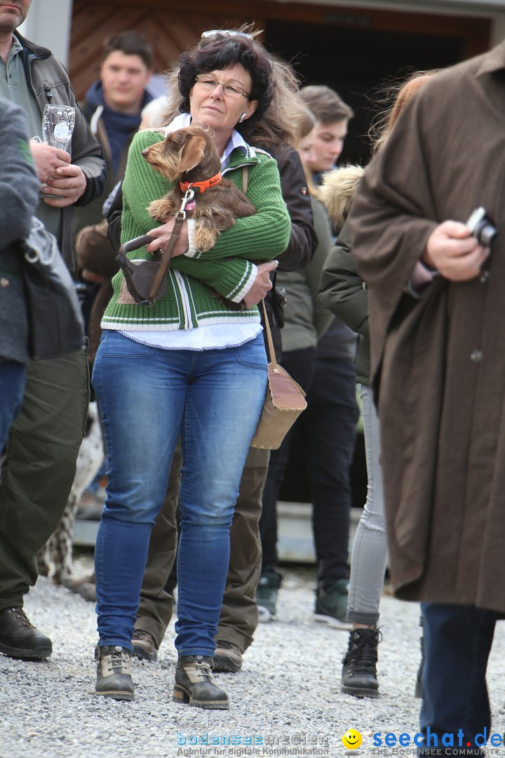 Jagdhundetag Dornsberg der Landesjagdschule: Eigeltingen, 23.04.2017