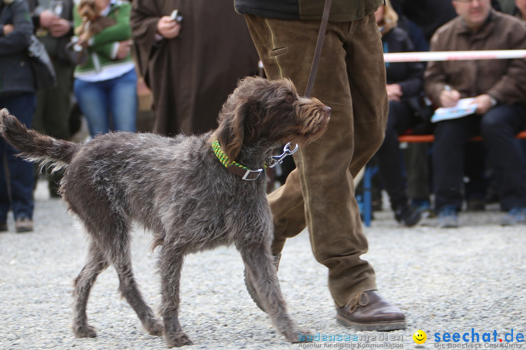 Jagdhundetag Dornsberg der Landesjagdschule: Eigeltingen, 23.04.2017