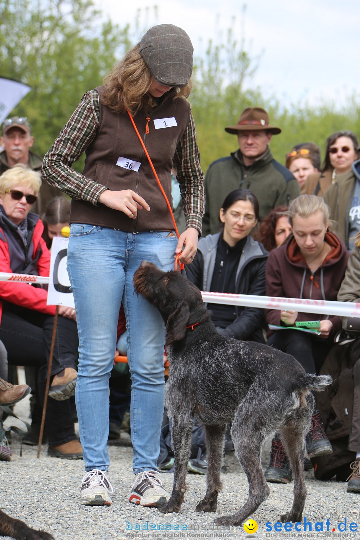 Jagdhundetag Dornsberg der Landesjagdschule: Eigeltingen, 23.04.2017