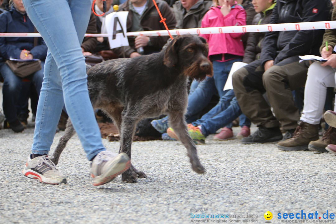 Jagdhundetag Dornsberg der Landesjagdschule: Eigeltingen, 23.04.2017