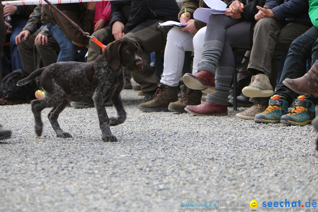 Jagdhundetag Dornsberg der Landesjagdschule: Eigeltingen, 23.04.2017