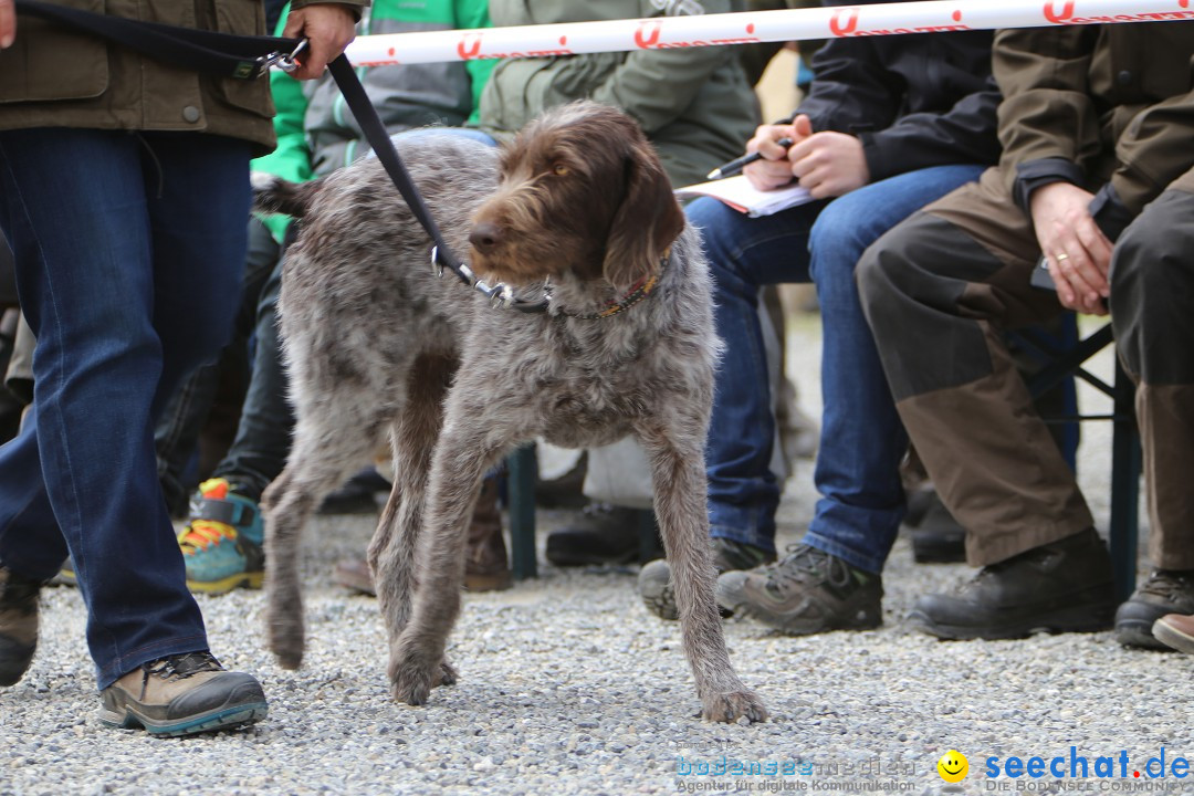 Jagdhundetag Dornsberg der Landesjagdschule: Eigeltingen, 23.04.2017