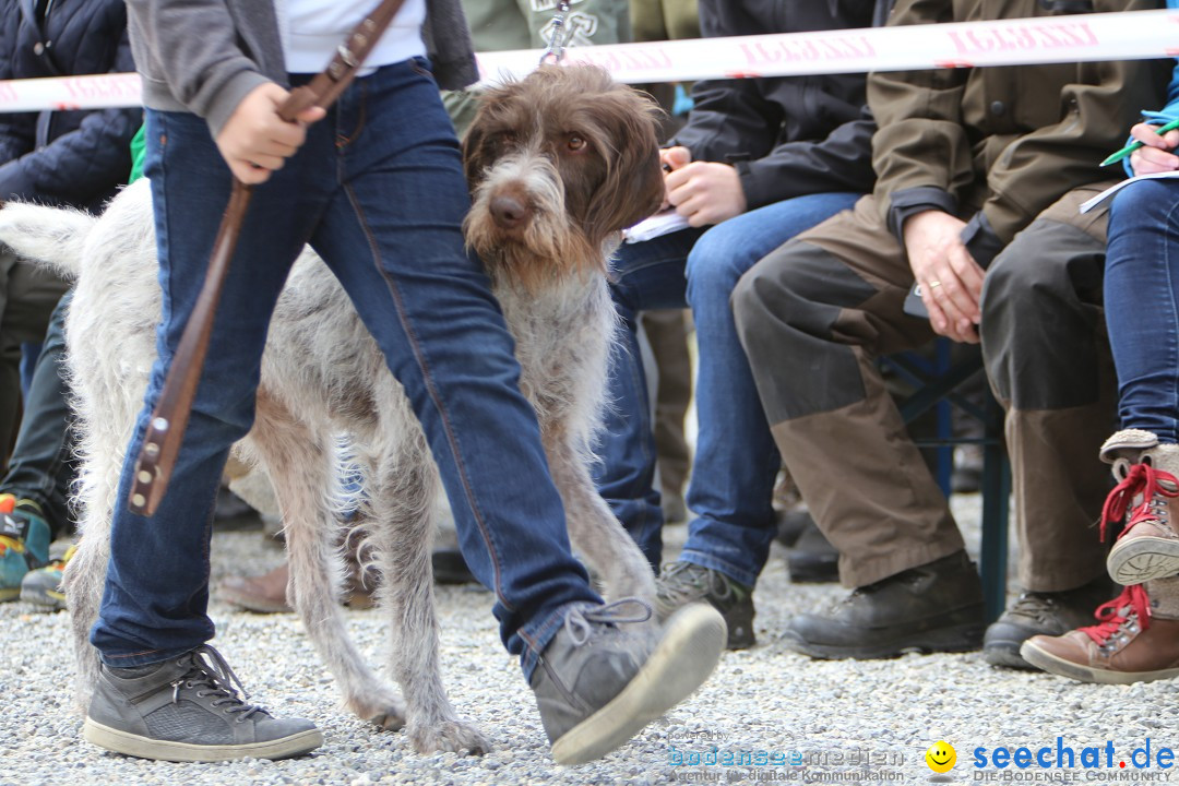 Jagdhundetag Dornsberg der Landesjagdschule: Eigeltingen, 23.04.2017