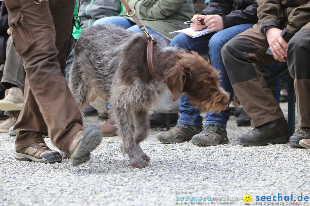 Jagdhundetag Dornsberg der Landesjagdschule: Eigeltingen, 23.04.2017