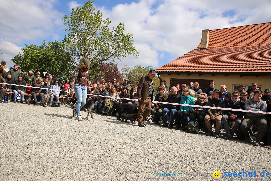 Jagdhundetag Dornsberg der Landesjagdschule: Eigeltingen, 23.04.2017